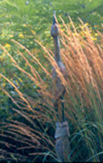 roerdomp - klik om te vergroten